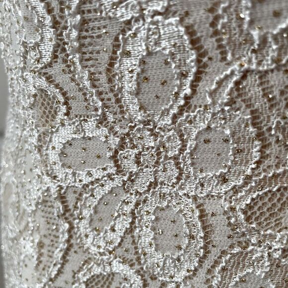 Cache Champagne Lace Gown with Pearl Neck and Godet Mesh Insert Size 4 EUC - Picture 11 of 13